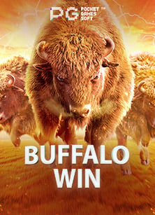 แทง บอล lsm99 กับการทำเงินง่ายๆ